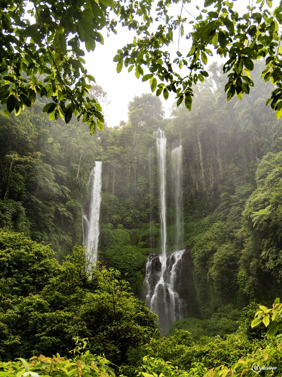 Nature at its best! #ThisIsLiving #Corona