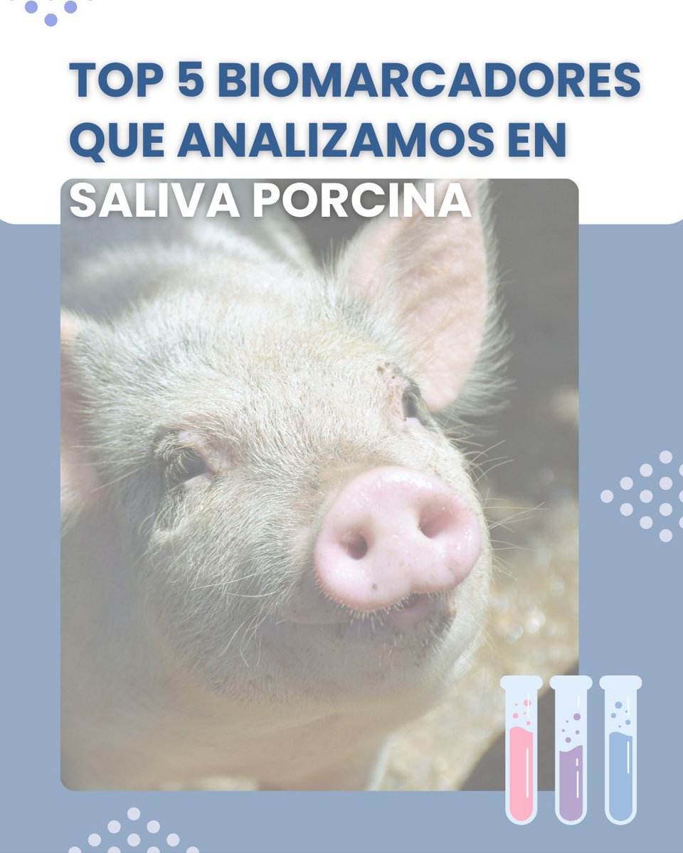 Interlab-UMU tweet media