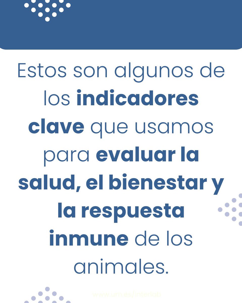 Interlab-UMU tweet media