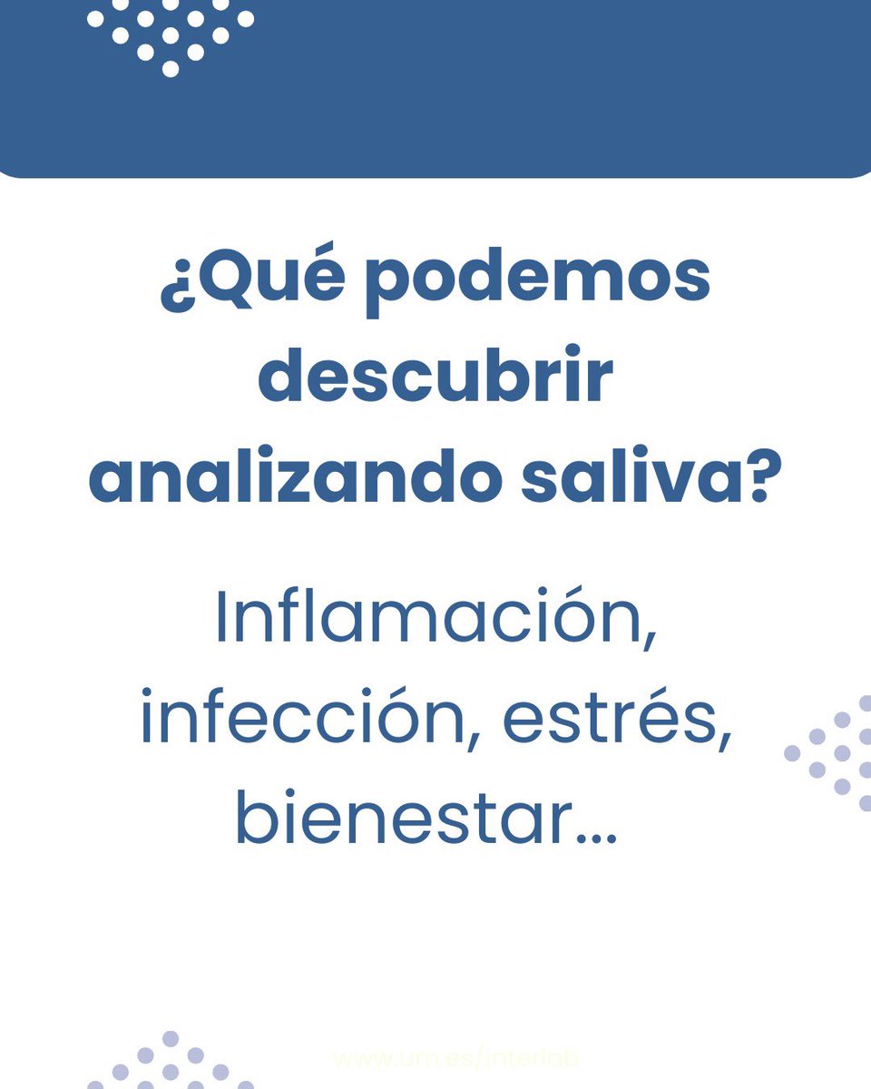 Interlab-UMU tweet media