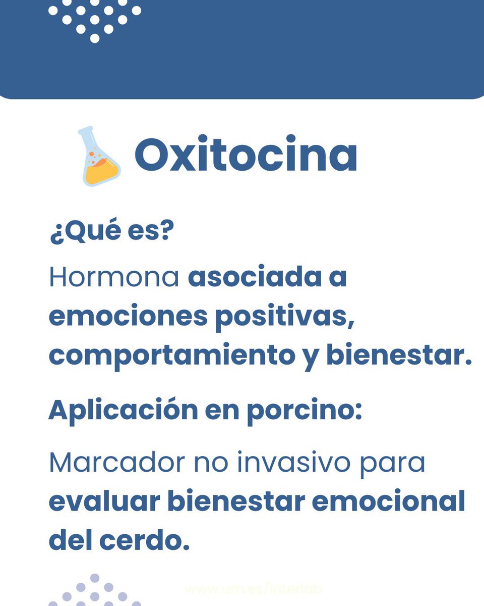 Interlab-UMU tweet media