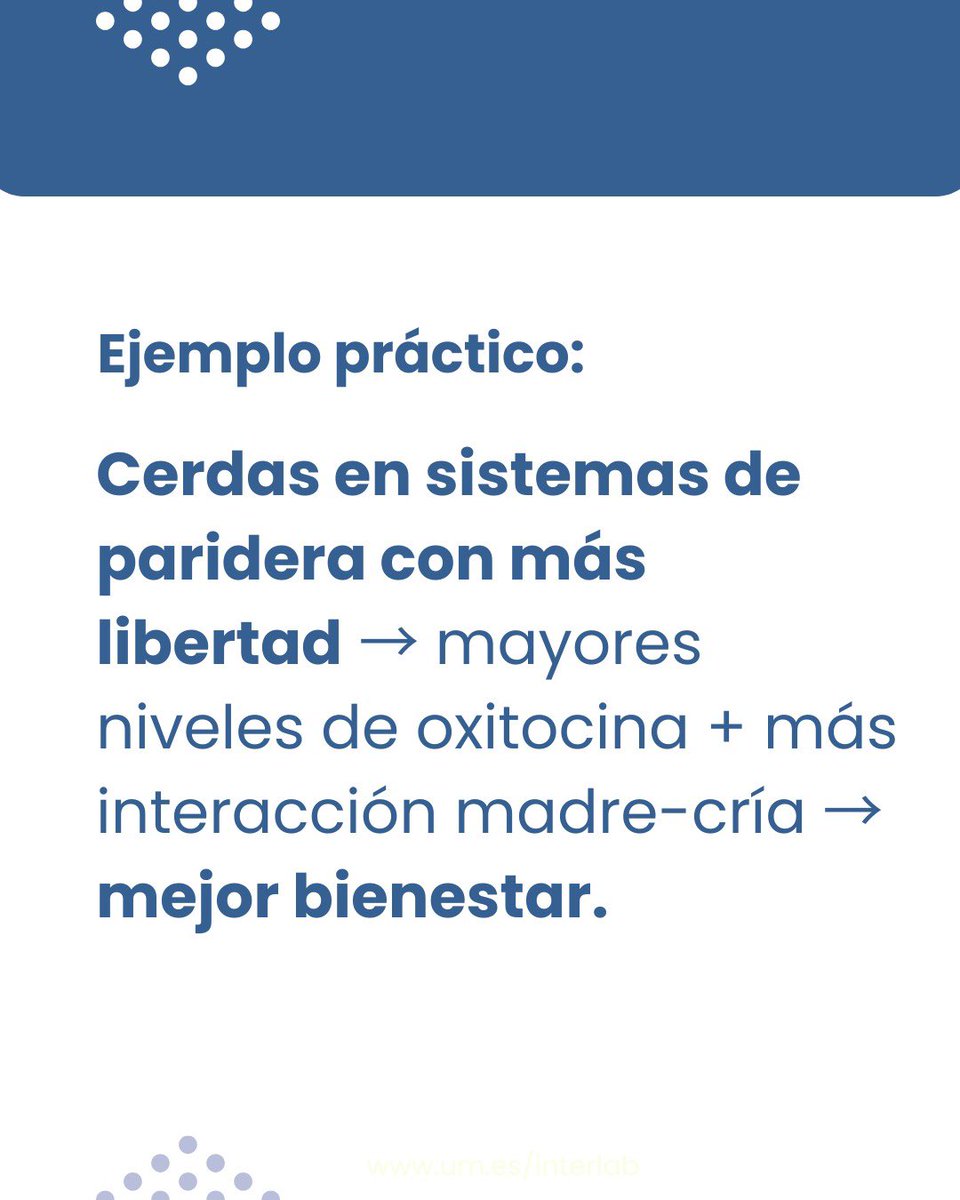 Interlab-UMU tweet media