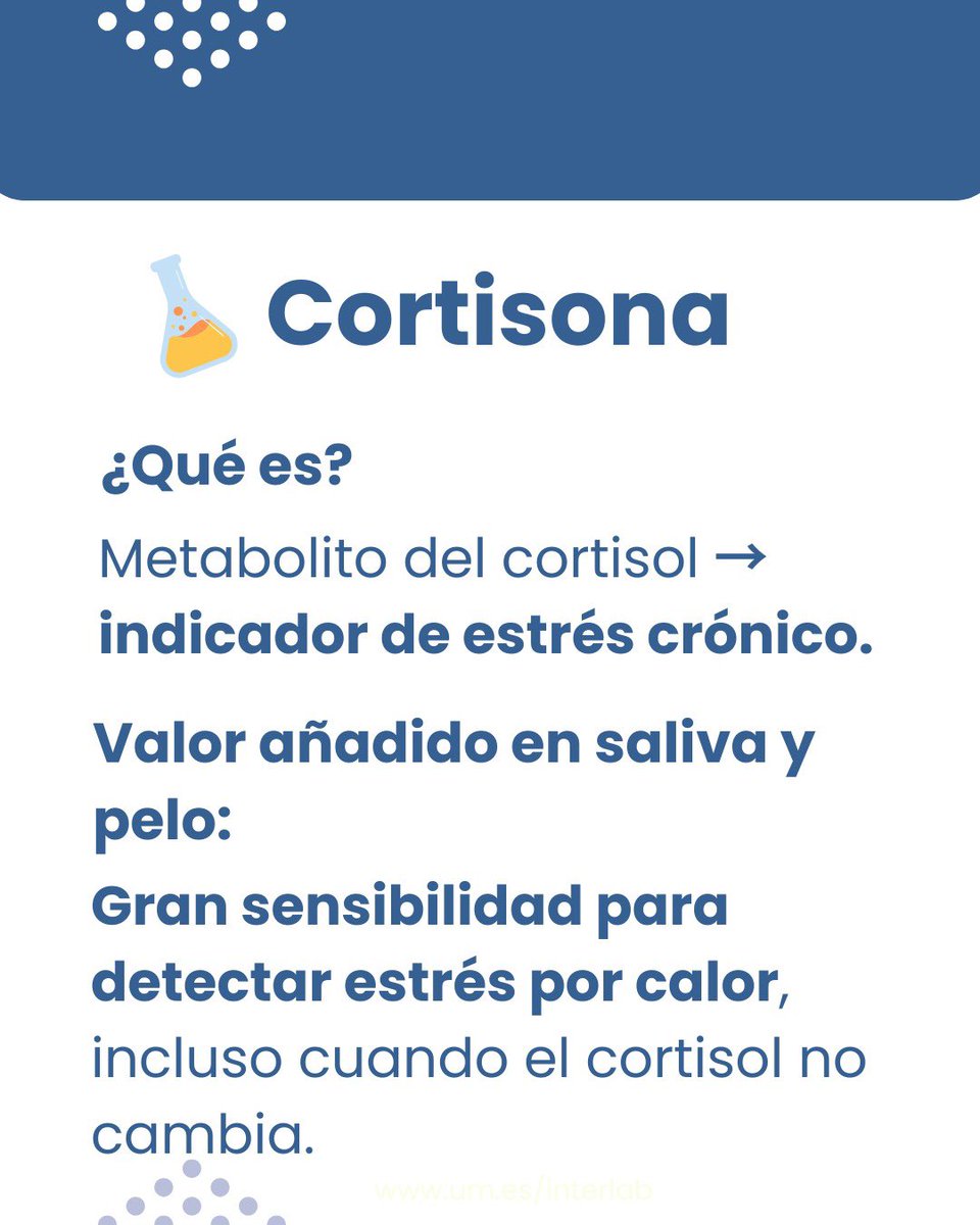 Interlab-UMU tweet media