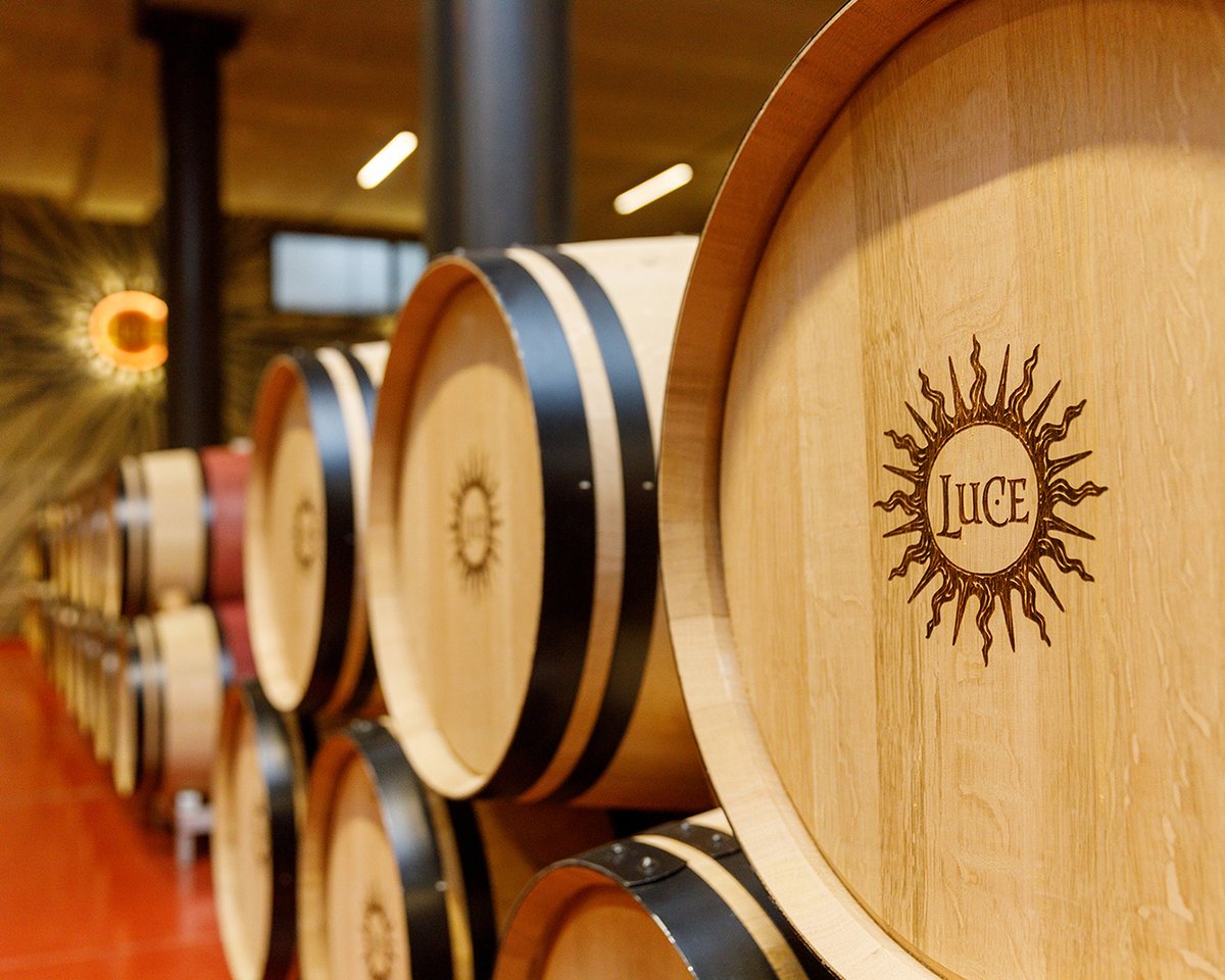 Tenuta Luce tweet media