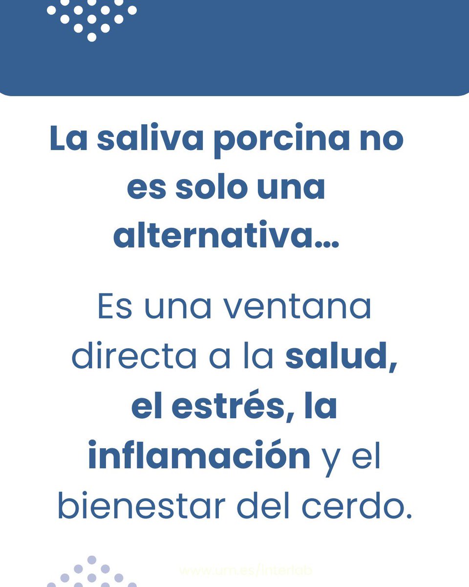 Interlab-UMU tweet media