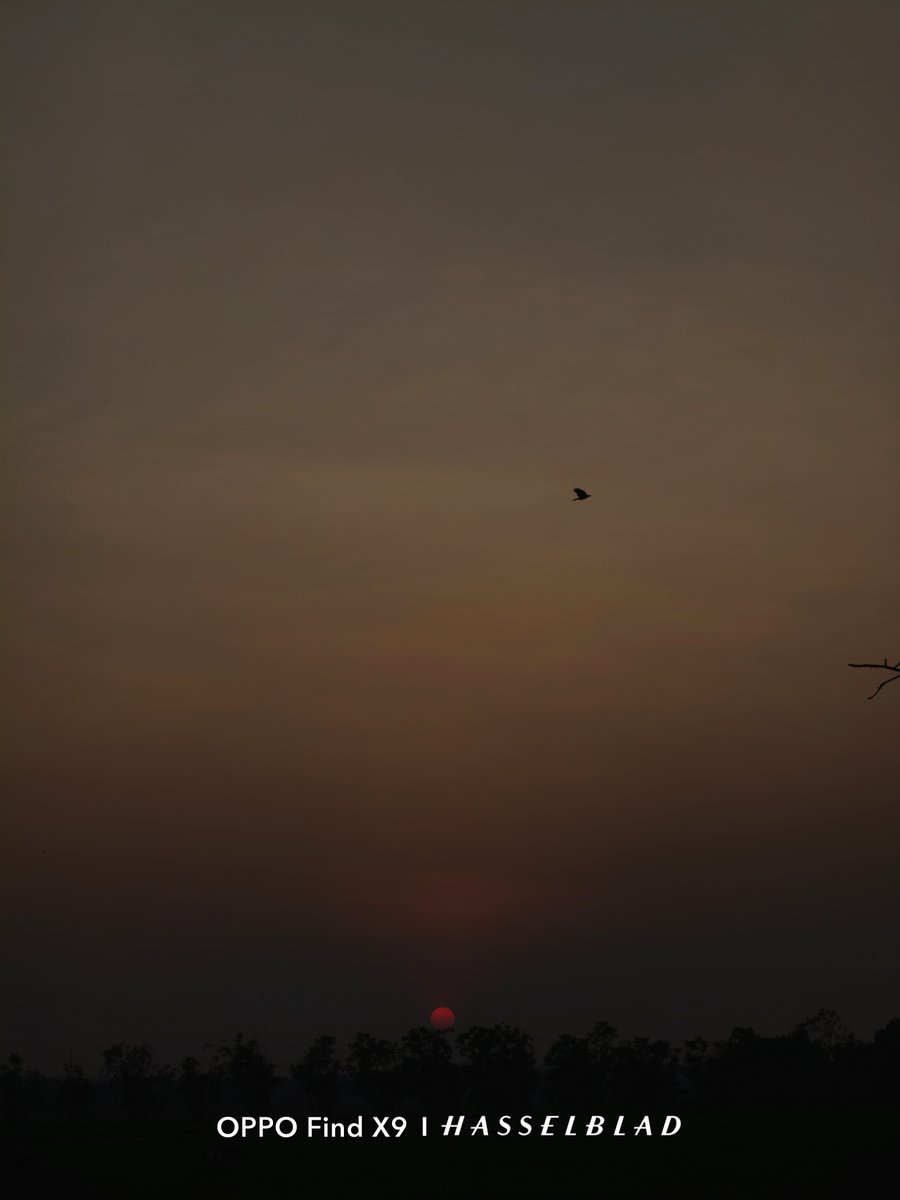 Sivaragunan's tweet photo. Sunset textures doing their quiet thing.
Light, colour, and a moment worth pausing for.

Captured on OPPO Find X9.

@OPPOCareIN 
@OPPOIndia 

#ShotOnOPPO #OPPOCommunity #OPPOTechStudio #OPPOFindX9Series https://t.co/izSpMc3Ufr