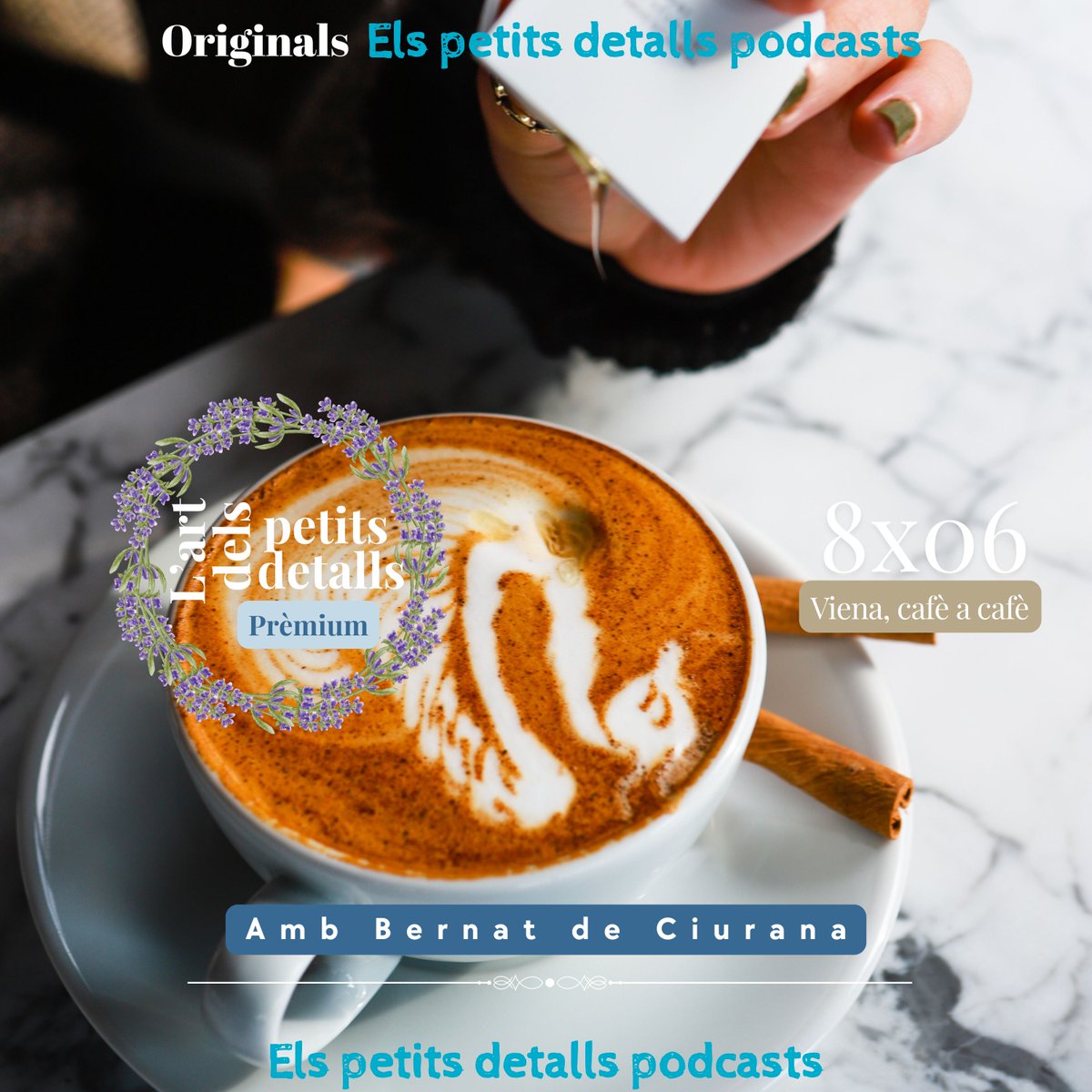 Viena, cafè a cafè és l’art de parar, de gaudir i d’observar. Una invitació a descobrir que els petits detalls: un croissant trencadís, una cadira que grinyola i un llibre obert a mitja pàgina poden ser el centre d’una gran experiència.

elspetitsdetallspodcasts.substack.com/p/8x06-viena-c…

#Viena