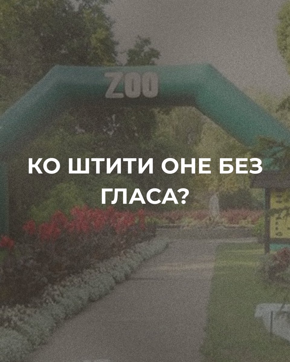 Životinje ne mogu da govore. Na institucijama je da ih zaštite, a na nama da zahtevamo odgovornost.

Saopštenje u komentarima ⬇️