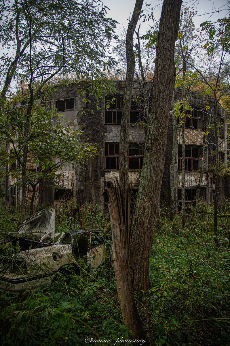 ここが終着点のような森の奥深くに存在する廃校。