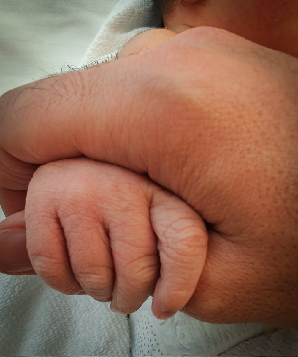 Sergi Almar 🍃 tweet media