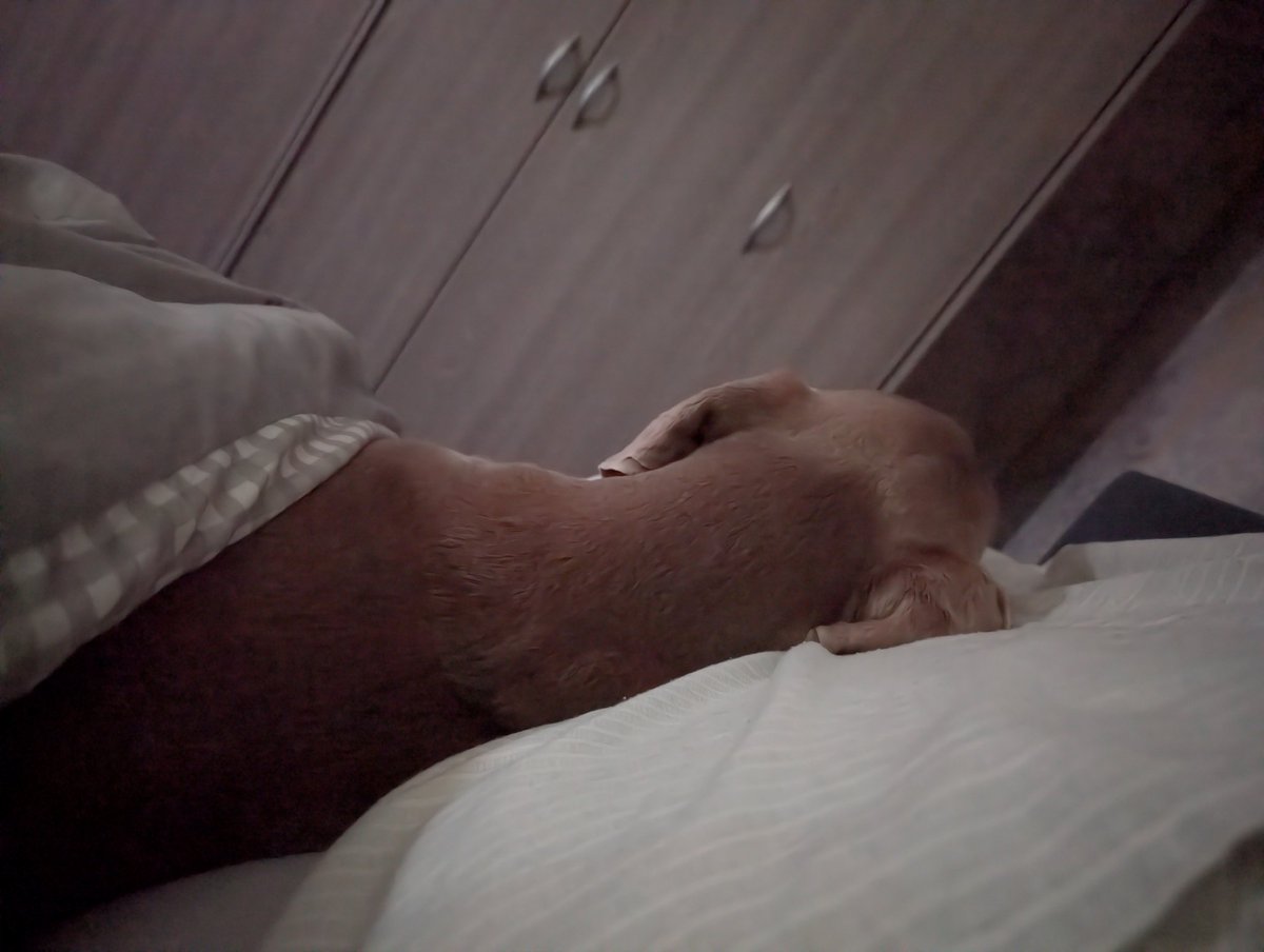 This man sleeps like he pays half the rent!