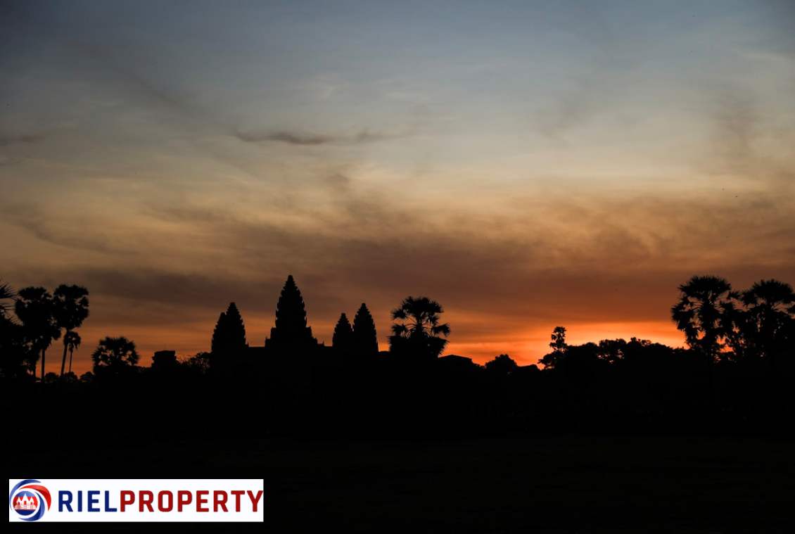 RielProperty tweet picture