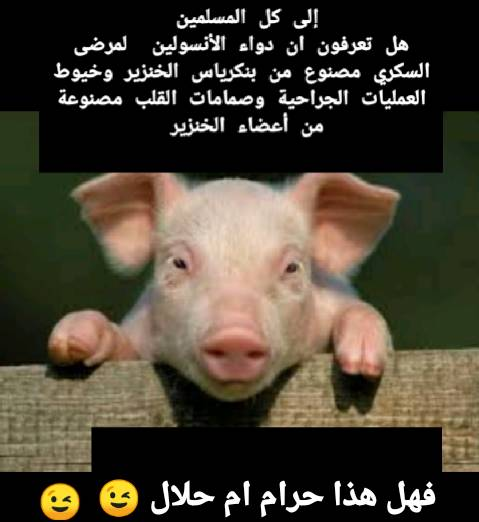 eyad.gevara tweet media