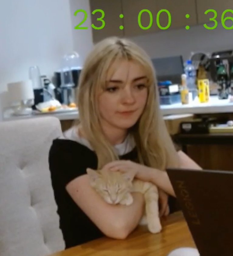 Miu Miu Miu :3 tweet media