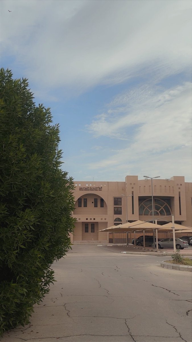 sovxco's tweet image. Medicine block is DONE 🌧️🤍🤍 !!