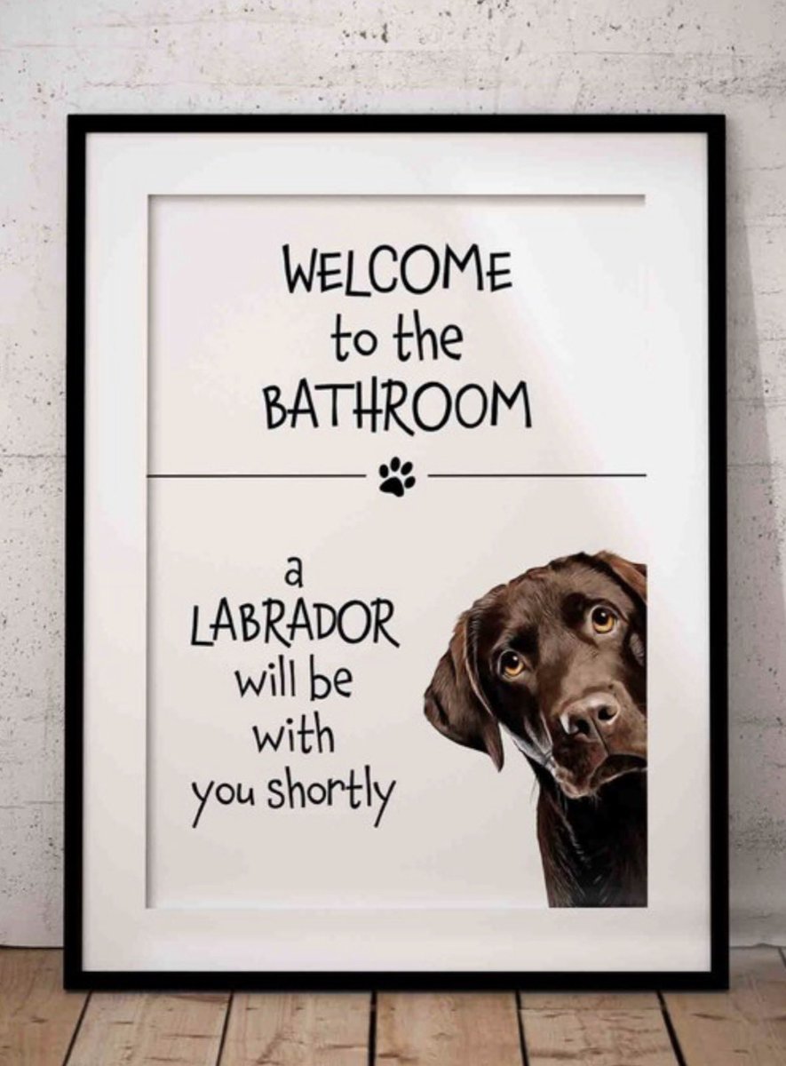 DexyDuck's tweet image. M has ordered this print for our new bathroom - so true 🤭😂😂😂