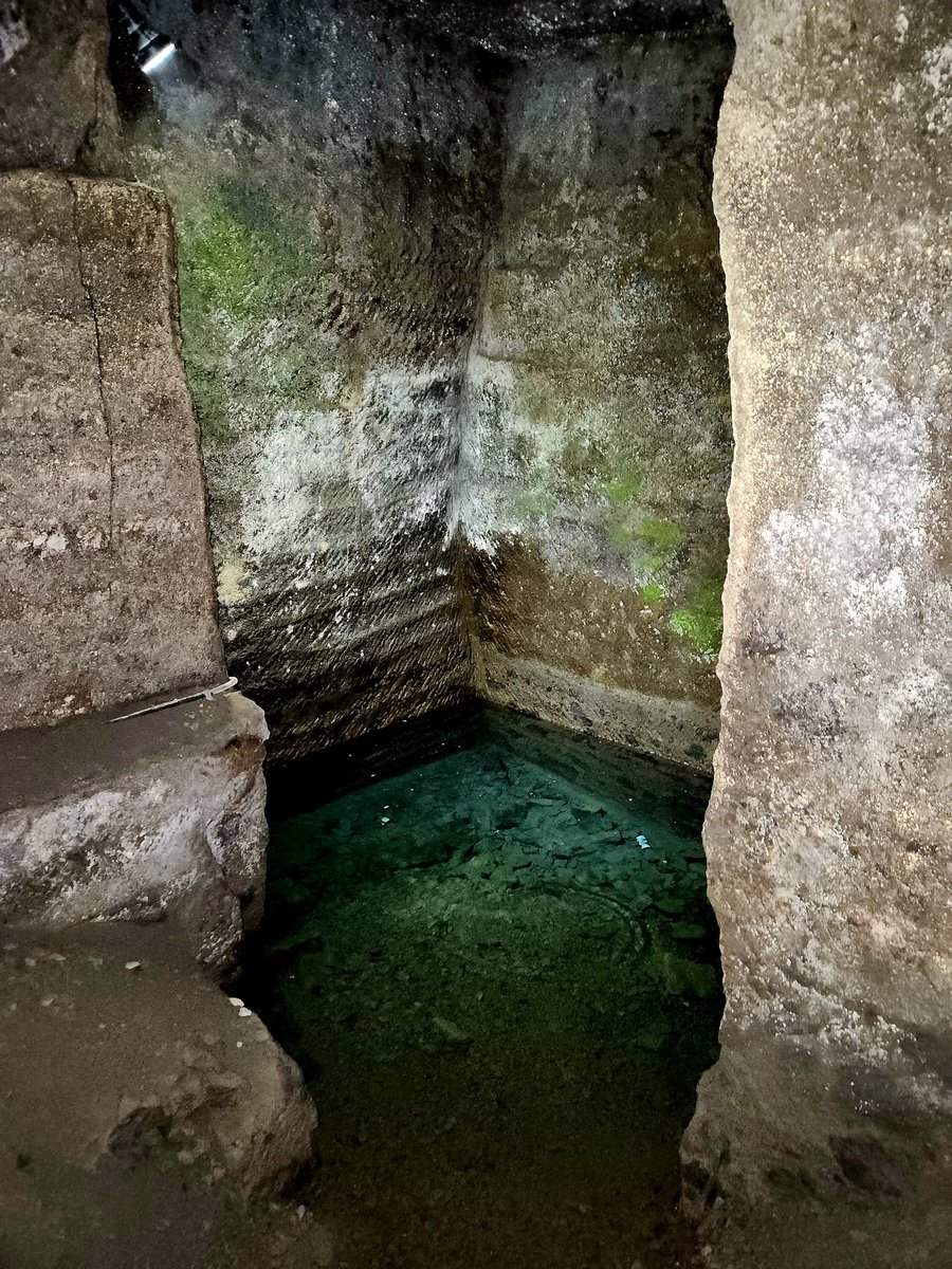 いもむしc(.(.(.(.(@･ω･) tweet media