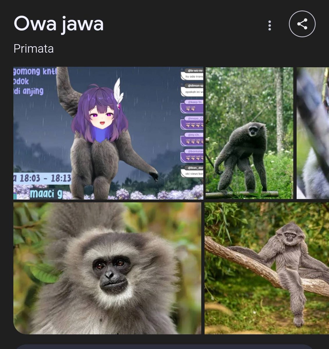 NotKevii's tweet image. Even gua juga bingung ni orang kenapa...
((ini normal katanya ges))