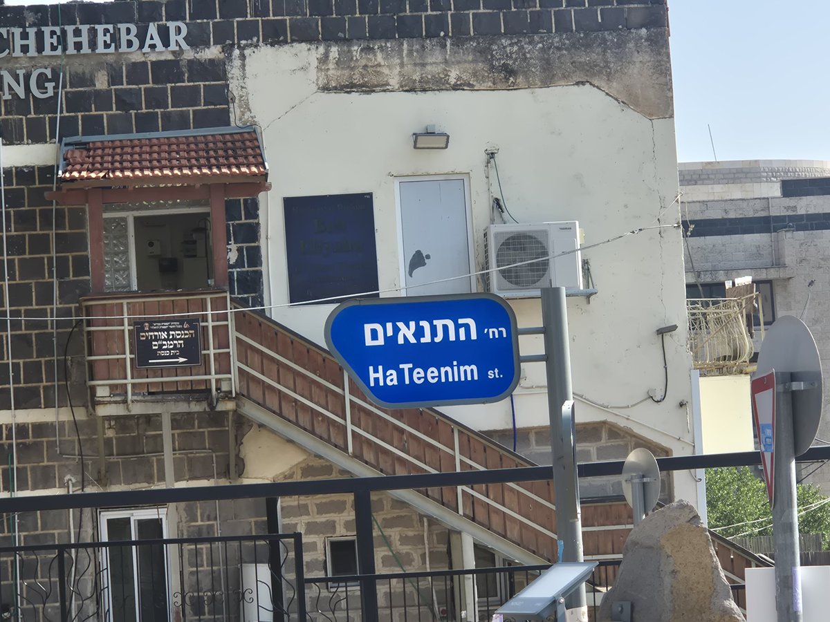 DannyDaddon's tweet image. תנאים אוהבים תאנים? 🤔
שלט רחוב, היום בטבריה