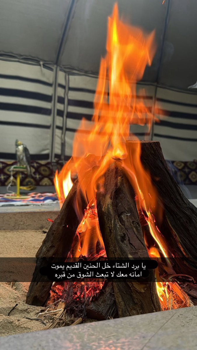 28_8_2013's tweet photo. 🍁🍃🍂

يا برد الشتاء خل الحنين القديم يموت 
امانه معك لا تبعث الشوق من قبره

🍂🍃🍁

🍂٢٨/٨/٢٠١٣🍂 https://t.co/FeshdxWS0g