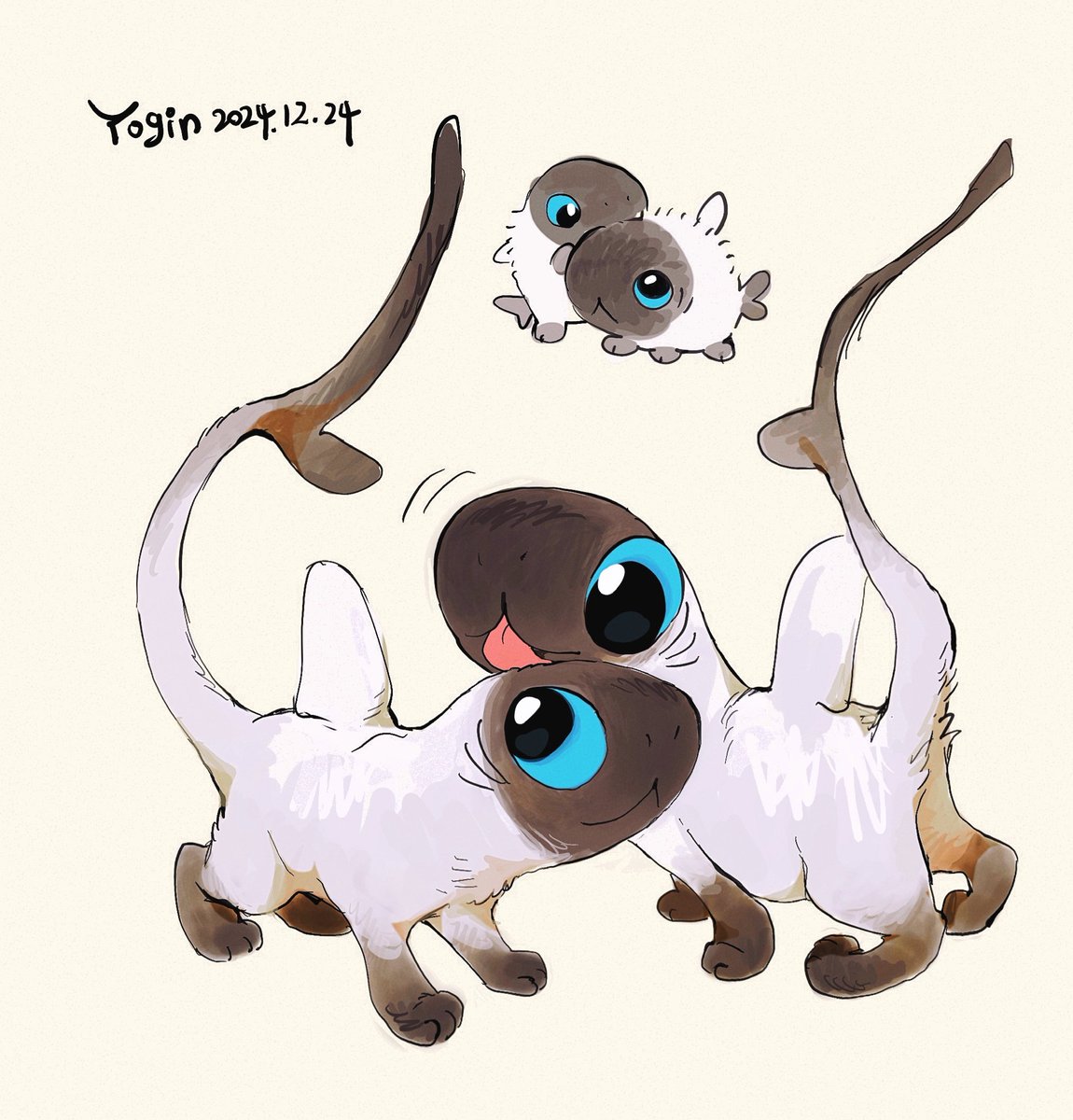 Sharkitty Official Account tweet media