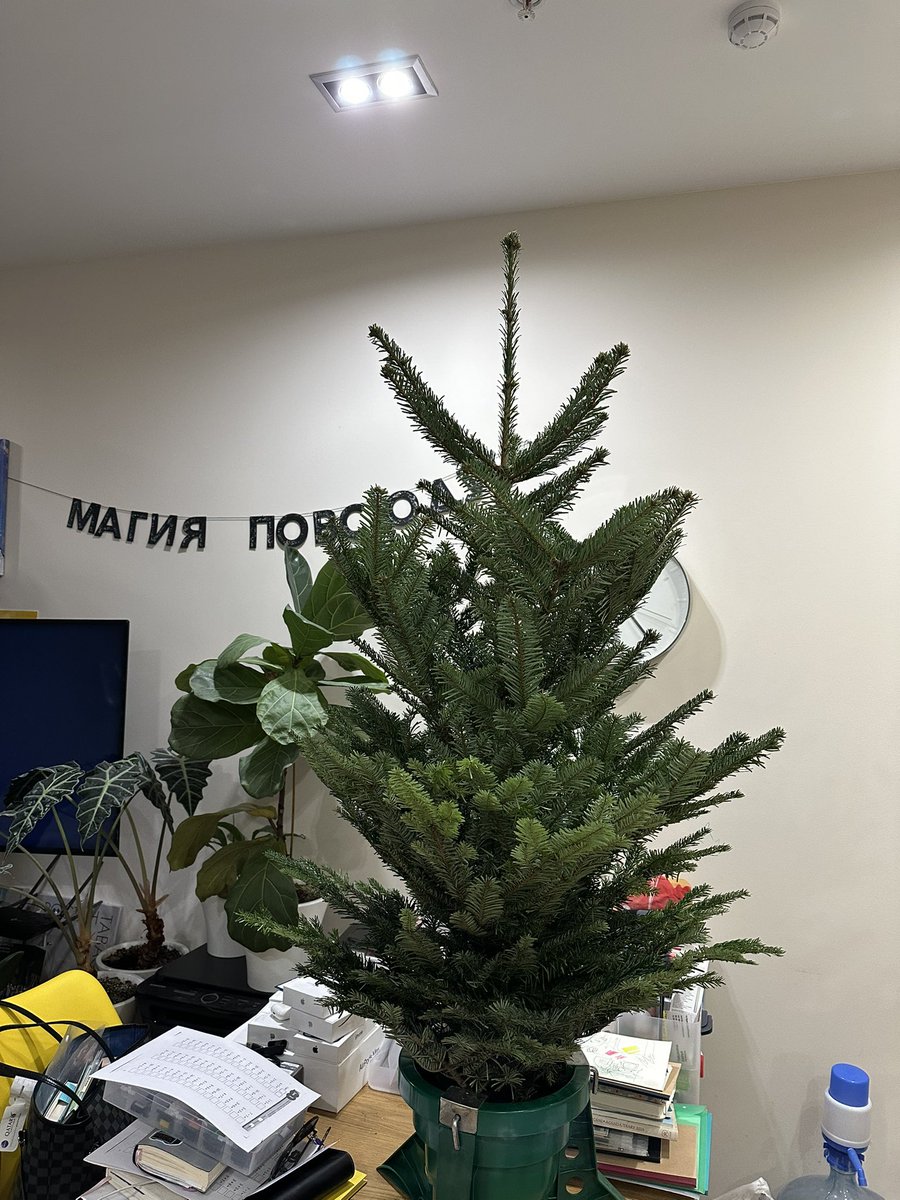 I_play_to_win tweet media