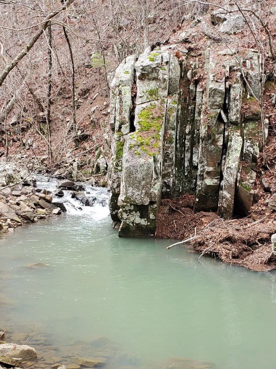 Weedhopper🦗 (@weedhopper96) on Twitter photo 