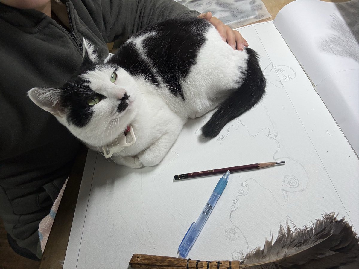 今日も阻まれて(制作)います…負けず(可愛さ)に描きます。
#絵描きと猫　#邪魔する猫