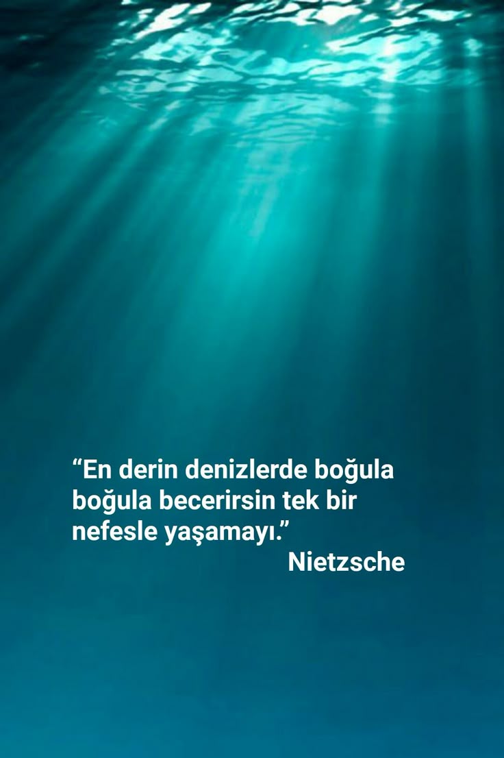 esrelfy's tweet photo. https://t.co/gh0zdYyOLc