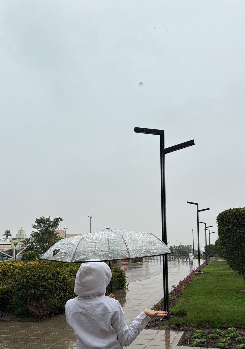 Leofatim 🇵🇸 tweet media