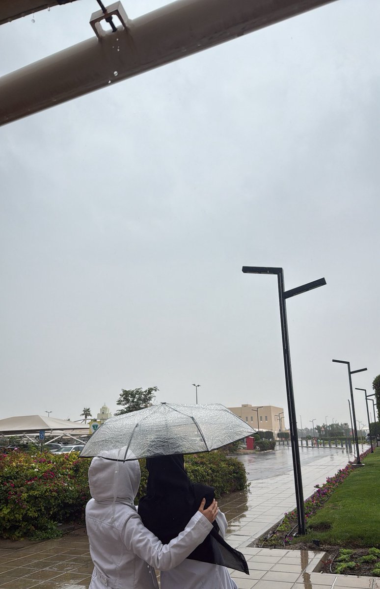 Leofatim 🇵🇸 tweet media