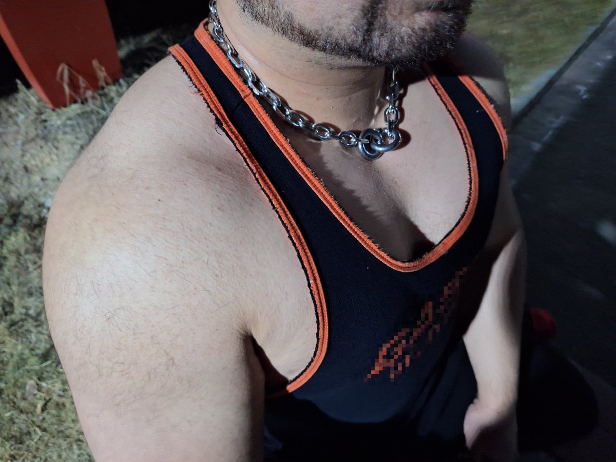 经验主收壮家奴 tweet media