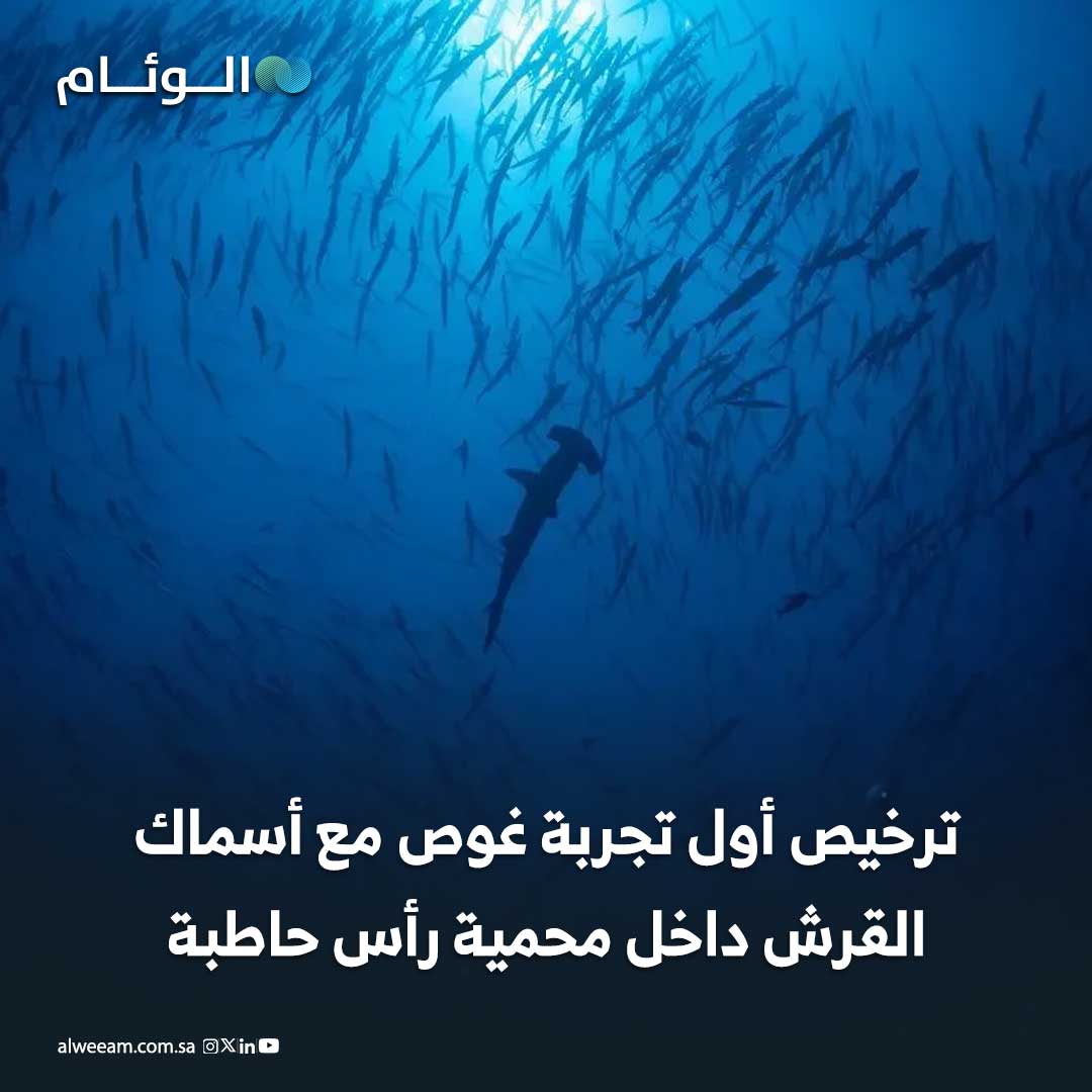 إصدار أول ترخيص بـ المملكة لتجربة الغوص مع أسماك القرش باستخدام الأقفاص. التجربة تهدف لتطوير منتجات سياحة بحرية مستدامة داخل المحميات البحرية. جميع الأنشطة المرتبطة بهذه التجربة ستخضع لرقابة وإشراف فني مباشر. المبادرة تعزز الوعي البيئي وتسهم في تحقيق رؤية السعودية 2030 للاقتصاد الأزرق وتعزيز السياحة البيئية 