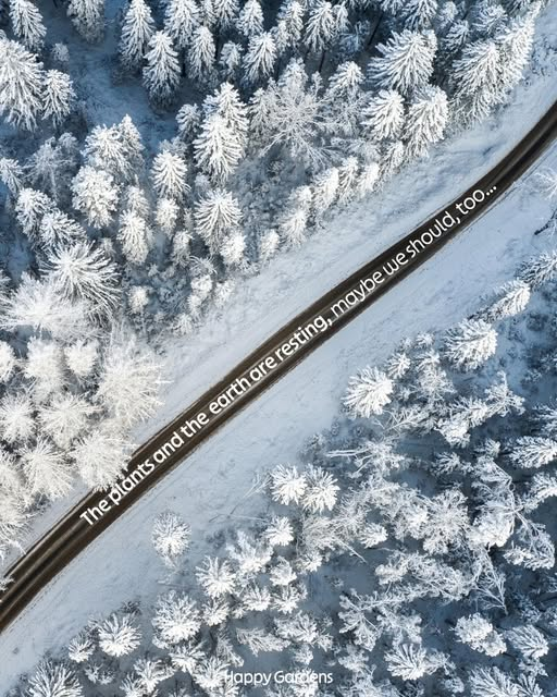 Carola Blaney🍃💚🍃 (@blaneycarola) on Twitter photo 