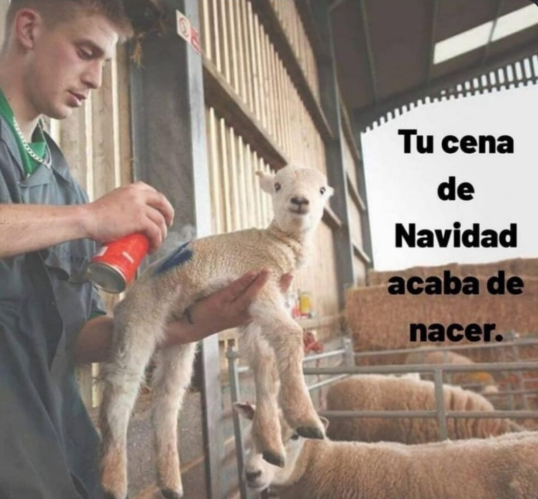 elchicomorera's tweet image. 