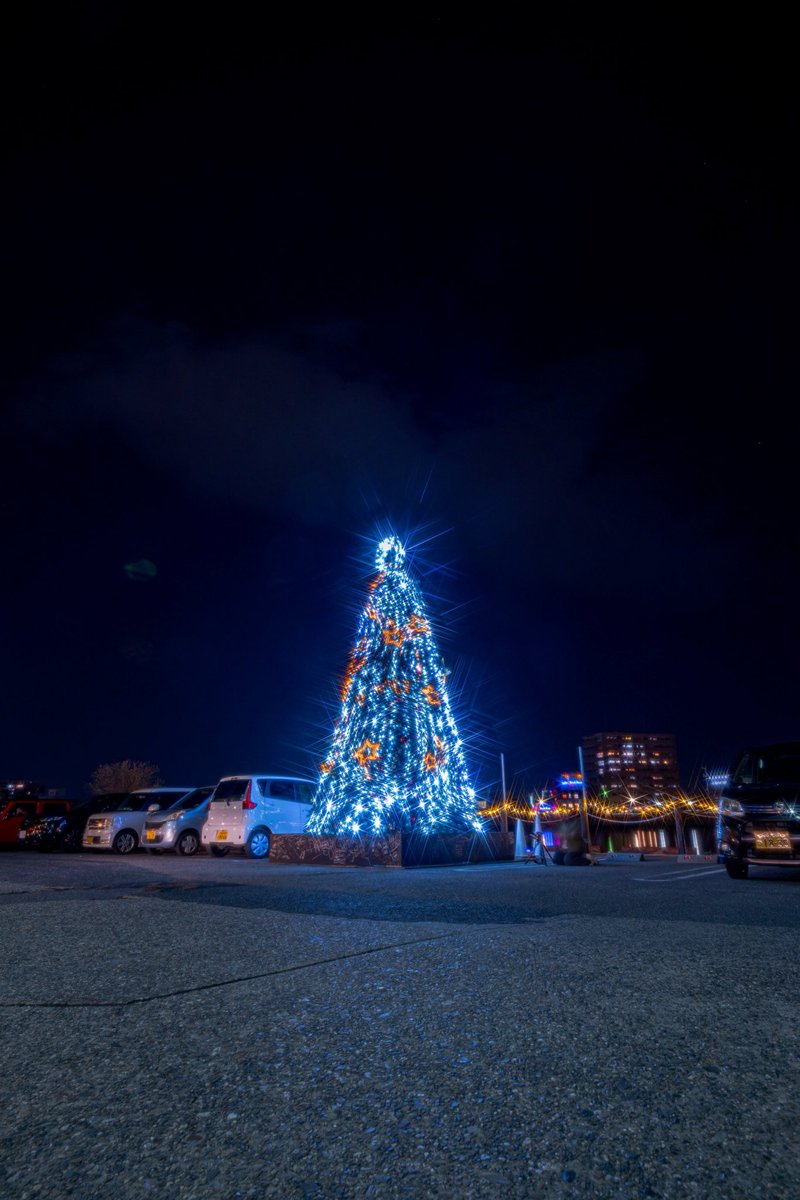万代中央埠頭にあるクリスマスイルミネーション✨️ 今年も綺麗だなぁ