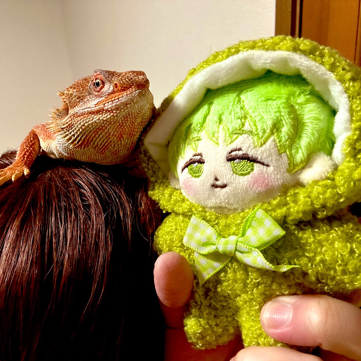 ご依頼いただき、ぬいちゃんを作らせていただきました🦎💚 お迎え後の