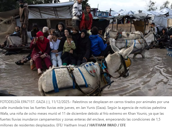 Comité de Presencia Pública Fundación Novaterra: "Todos somos migrantes en este planeta". Reflexión del periodista palestino Amjad Yaghi, asilado en España, sobre  la situación de extrema crueldad que vive el pueblo palestino. 
levante-emv.com/autores/amjad-…