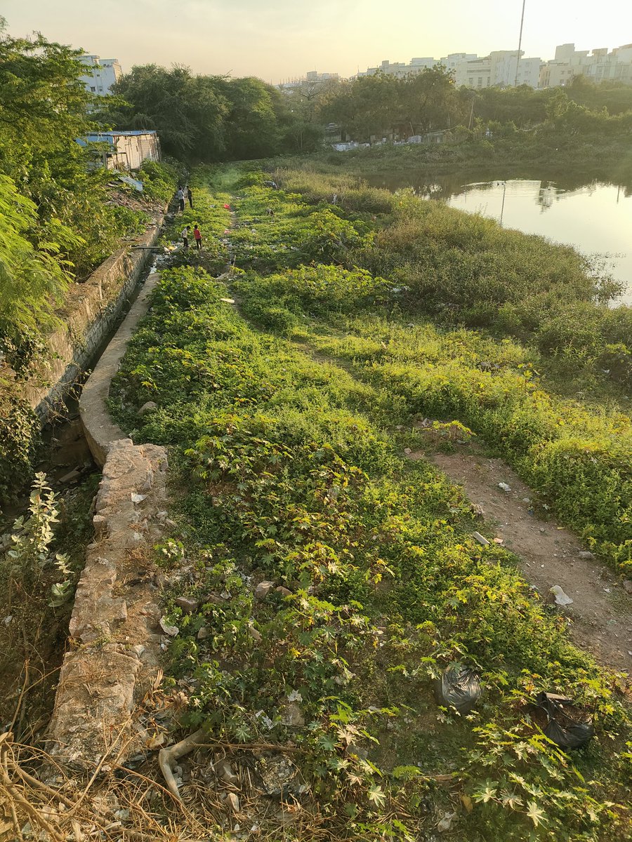 Mehnaz Amjad 🤝 ✍️ tweet media