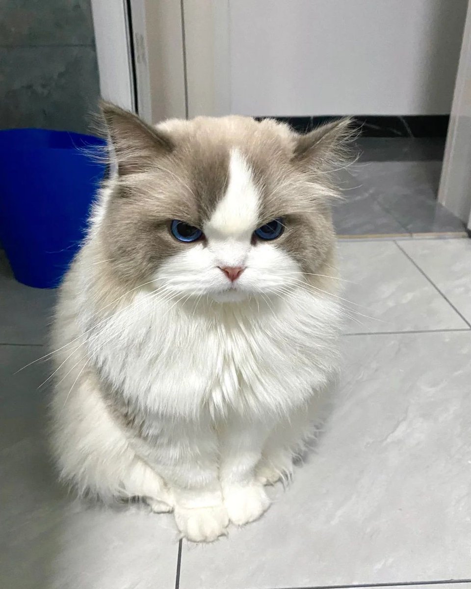 tzjaehyuk's tweet photo. Hi... https://t.co/bcRZP0iHqe
