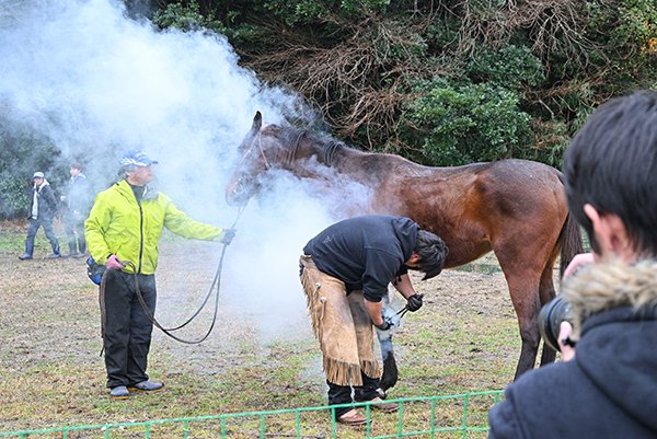 ＜2025年12月18日付の紙面より＞
平沼ノ内に牧場が誕生 「旅人牧舎。」湯ノ岳から賢沼寺に移転オープン | いわき民報 iwaki-minpo.co.jp/news/2025/12/3… 
#いわき #牧場 
（写真：「旅人牧舎。」の移転記念イベントで行われた装蹄作業）