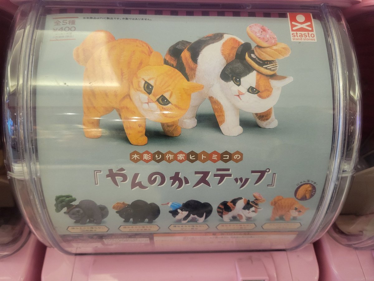 誰か動画作ってください！猫で！猫で！