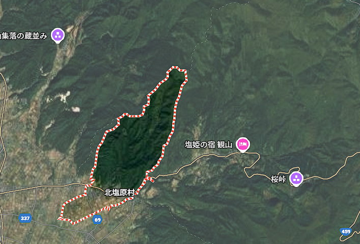 🇯🇵いのめ tweet media