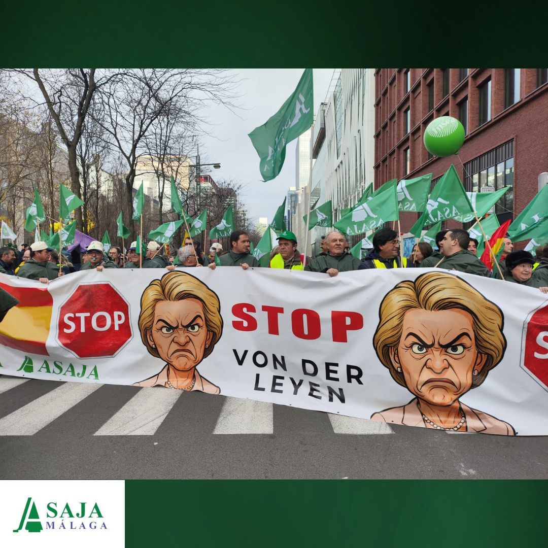 La representación del #campo malagueño se traslada a #Bruselas para defender un buen modelo agrario 

✅REIVINDICAMOS una #PAC sólida 
✅EXIGIMOS un comercio internacional justo y transparente

 📌27 países 
📌40 organizaciones agrarias 
➕de 10.000 profesionales del sector.
