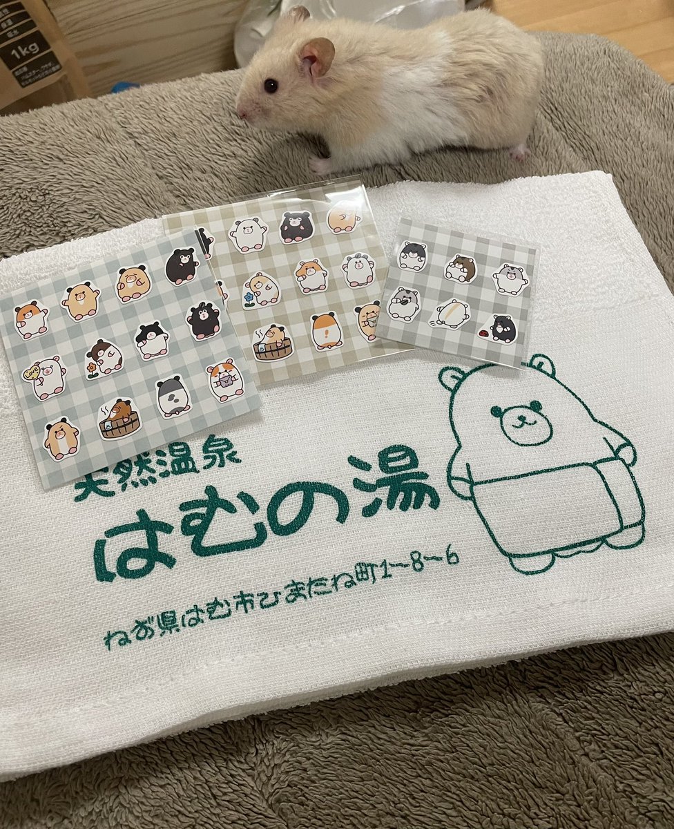 ChinPuPu(ちんぷぷ) (@Chin_PuPu) / Posts / X