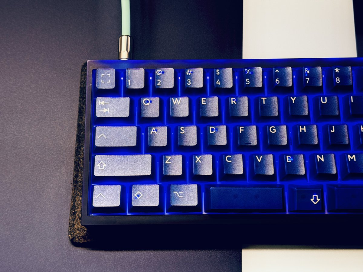 オルカ (@orukaorcat) / Posts / X