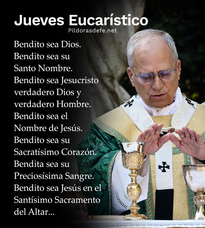 Pildorasdefe's tweet photo. Jueves Eucarístico. 🙏
Adoremos al Amor de los amores.

Bendito sea Dios.
Bendito sea su Santo Nombre.
Bendito sea Jesucristo verdadero Dios y verdadero Hombre.
Bendito sea el Nombre de Jesús.
Bendito sea su Sacratísimo Corazón.
Bendita sea su Preciosísima Sangre.
Bendito sea Jesús en el Santísimo Sacramento del Altar.
Bendito sea el Espíritu Santo Consolador.
Bendita sea la Incomparable Madre de Dios, María Santísima.
Bendita sea su Santa e Inmaculada Concepción.
Bendita sea su gloriosa Asunción.
Bendito sea el Nombre de María, Virgen y Madre.
Bendito sea San José su castísimo esposo.
Bendito sea Dios en sus Ángeles y en sus Santos.

🙏