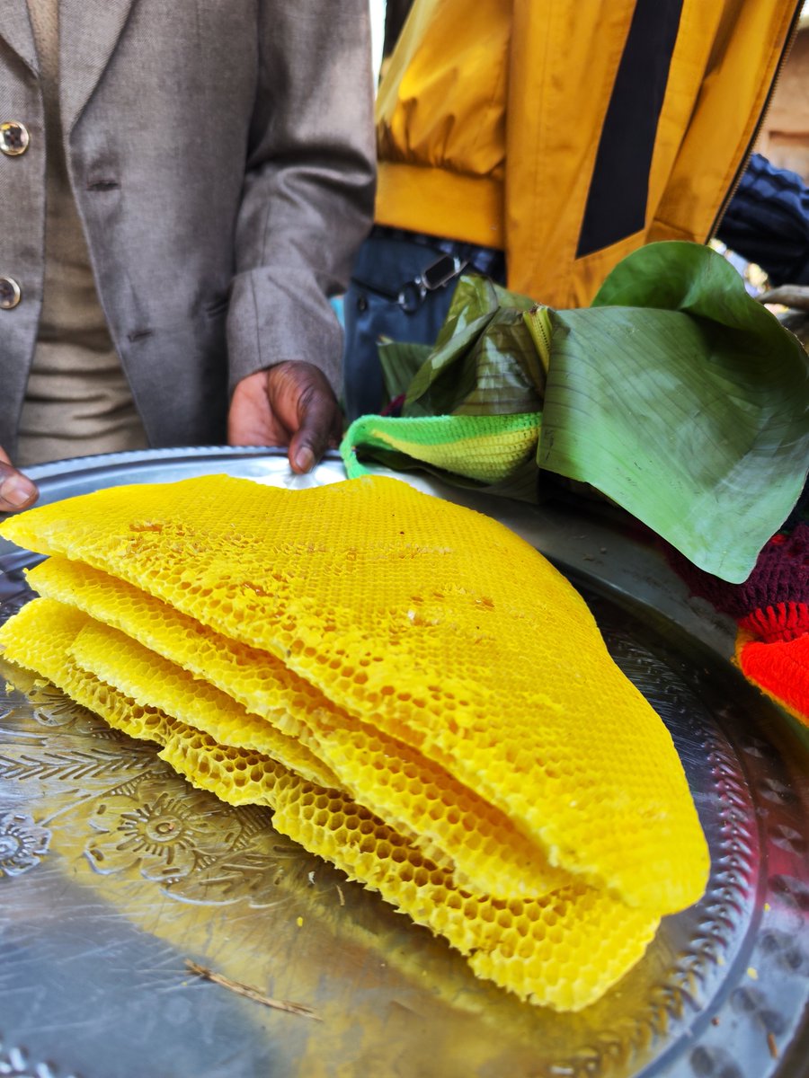 Sweden in Ethiopia & AU tweet media