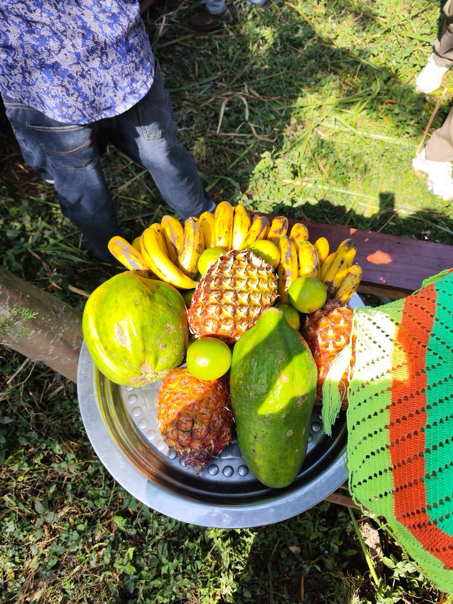 Sweden in Ethiopia & AU tweet media