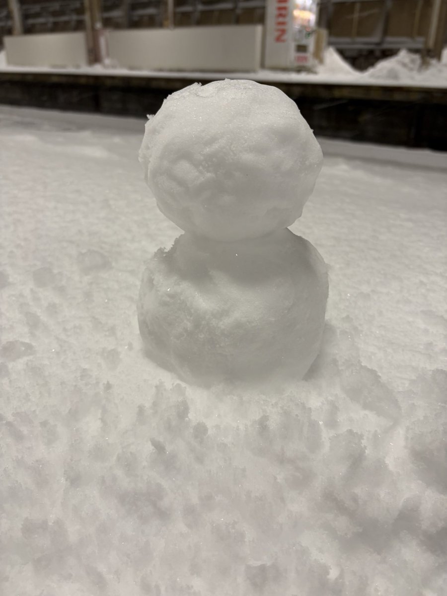菜乃ちゃんへ 私も北海道行ってたくさん雪だるまつくったよ⛄ ✨